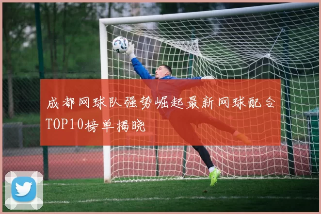 成都网球队强势崛起最新网球配合TOP10榜单揭晓
