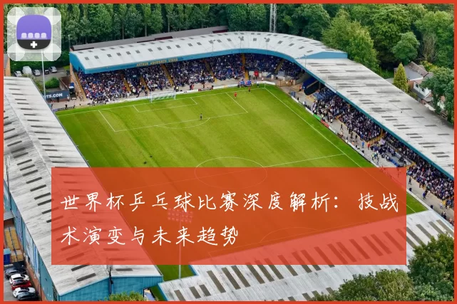 世界杯乒乓球比赛深度解析：技战术演变与未来趋势
