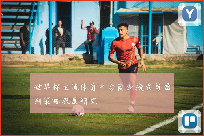 世界杯主流体育平台商业模式与盈利策略深度研究