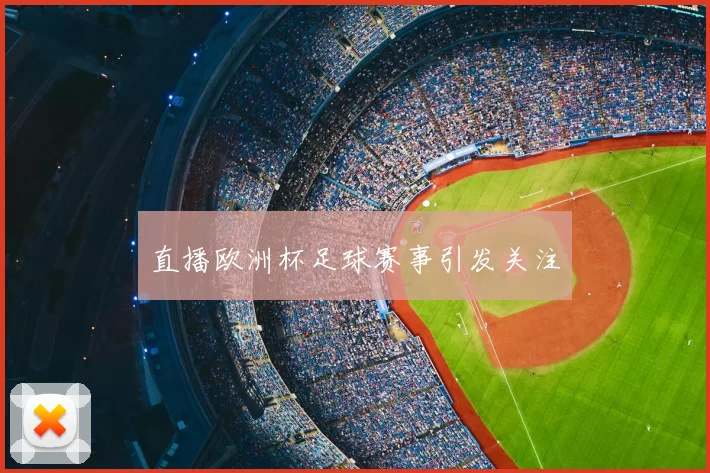 直播欧洲杯足球赛事引发关注