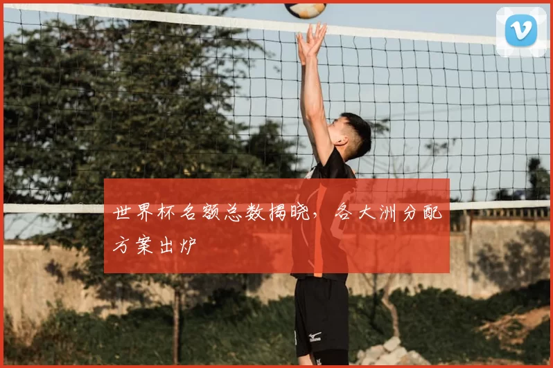 世界杯名额总数揭晓，各大洲分配方案出炉