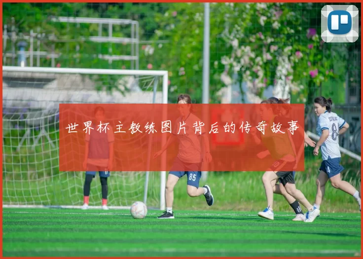 世界杯主教练图片背后的传奇故事