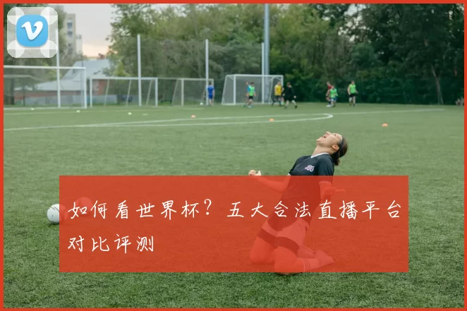 如何看世界杯？五大合法直播平台对比评测