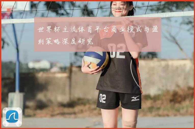 世界杯主流体育平台商业模式与盈利策略深度研究