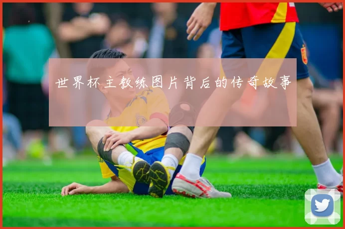 世界杯主教练图片背后的传奇故事