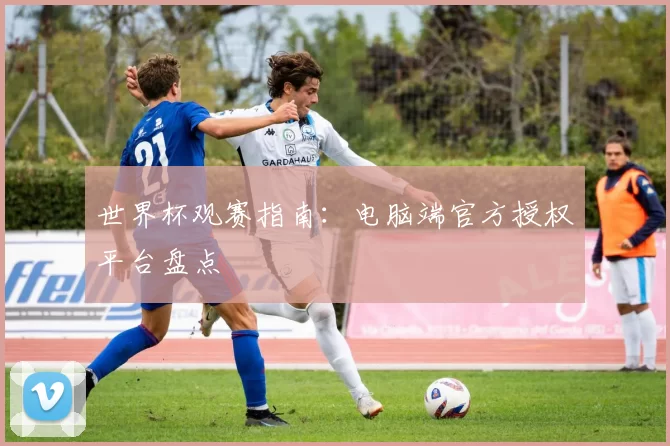 世界杯观赛指南:电脑端官方授权平台盘点