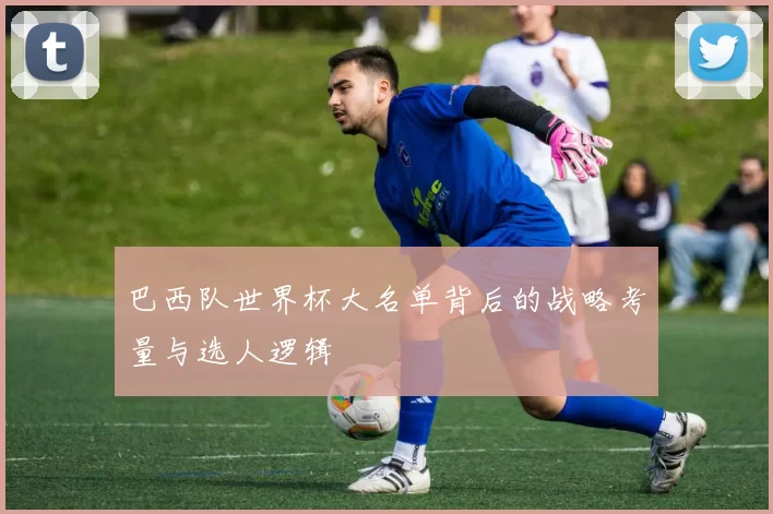 巴西队世界杯大名单背后的战略考量与选人逻辑