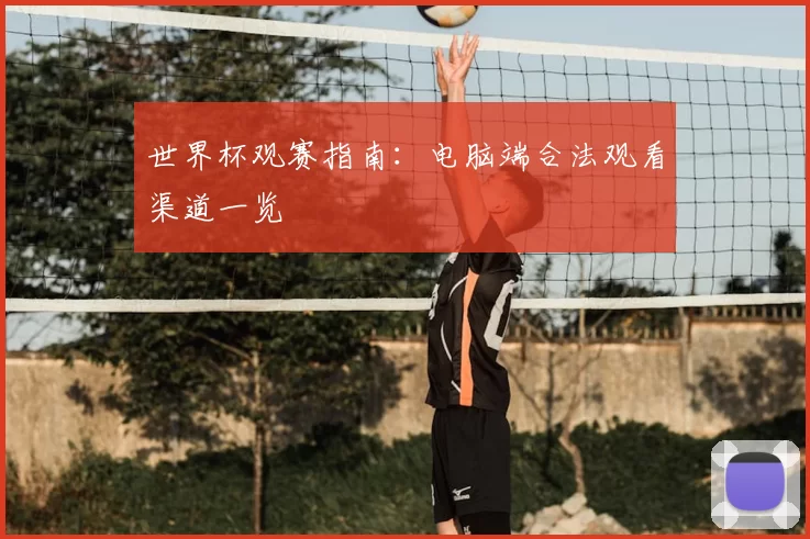 世界杯观赛指南:电脑端合法观看渠道一览